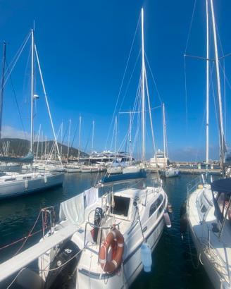 Motorsailer Mac Gregor 26M del 2010