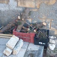 LEGNA PER USO PIZZERIE