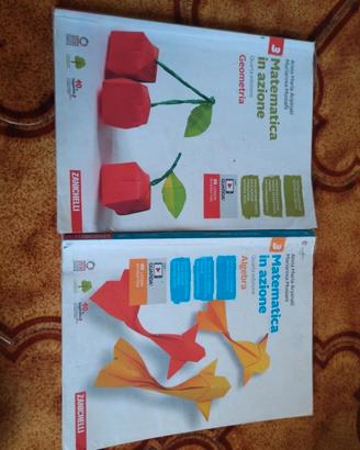 Matematica in azione  3