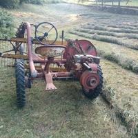 motoranghinatore leprotto