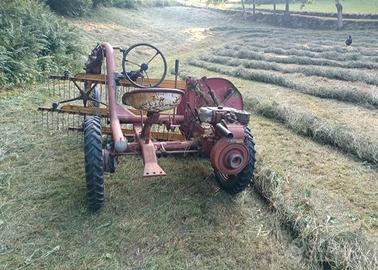 motoranghinatore leprotto