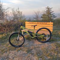 YT capra 29