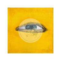 Quadro ad olio giallo 40x40 cm