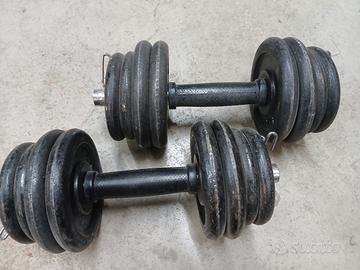 manubri dischi pesi palestra 1 e 2 kg