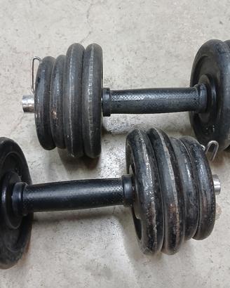manubri dischi pesi palestra 1 e 2 kg