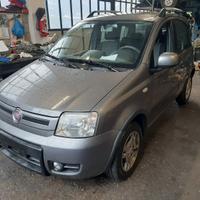 Ricambi Fiat Panda 4x4 09 1200cc benzina 188A4000