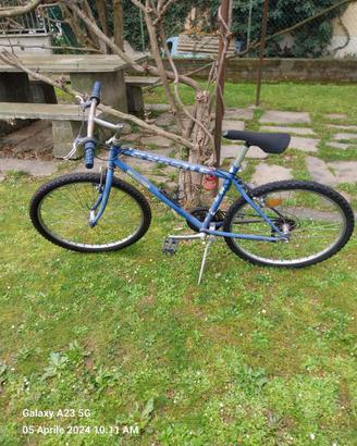 Bicicletta