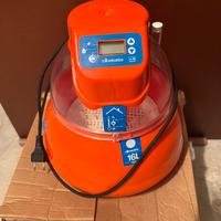 Incubatrice