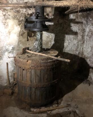 Torchio