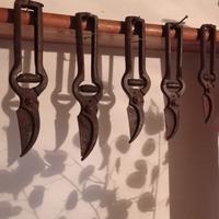 vecchie forbici potatura