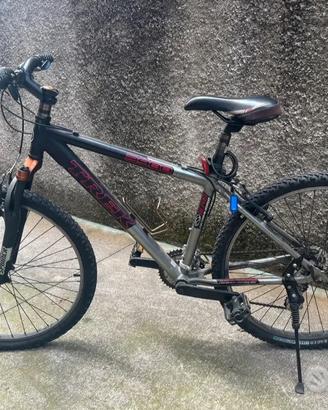 Bicicletta Trek