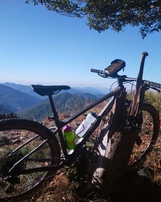 MTB TREK Marlin 8