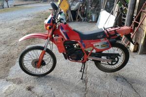 fantic raider 50