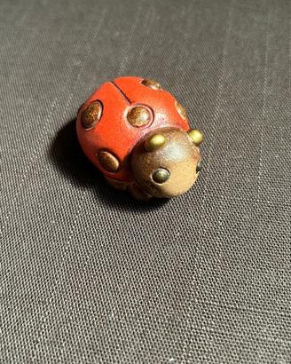 Coccinella Thun