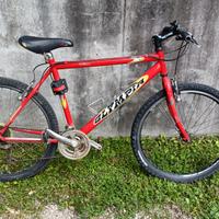 bicicletta 26" con seggiolino