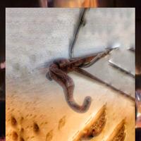 Oggetti per camino : supporto per paiolo.