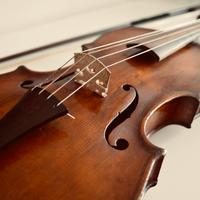 Violino antico 1836