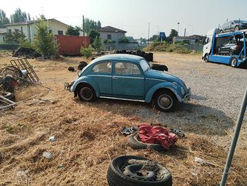 Volkswagen Maggiolino 