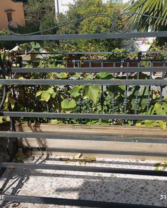 scaffale per fiori 