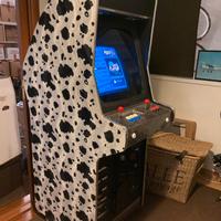 Gioco cabinato arcade