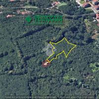 TER. AGRICOLO A MERCOGLIANO