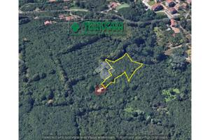 TER. AGRICOLO A MERCOGLIANO