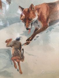 Caccia -Norfini- arte animalier