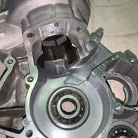 Elaborazioni am6