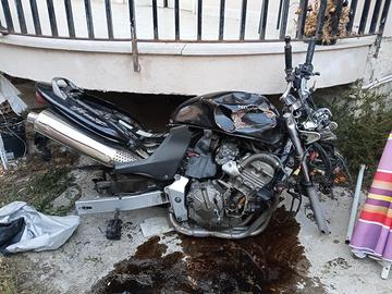 Honda Hornet 