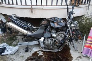 Honda Hornet 