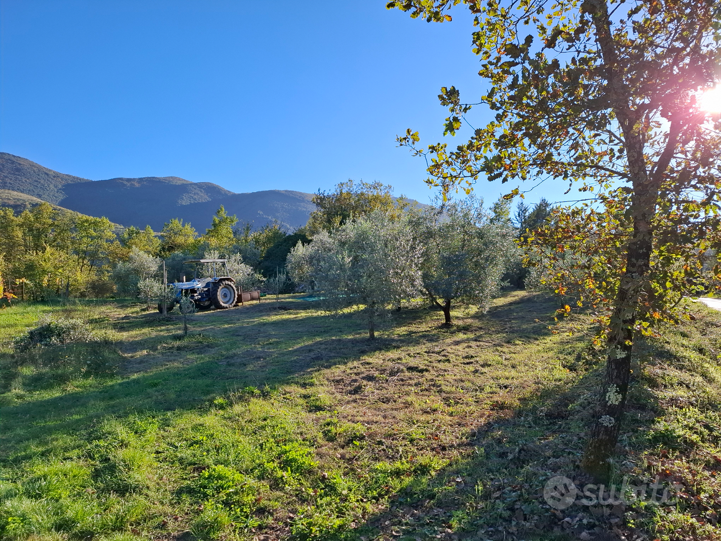 Terreno con vigna e uliveto - Vista 5