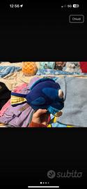 Peluche Dory