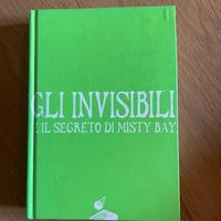 Gli invisibili e il segreto di misty bay