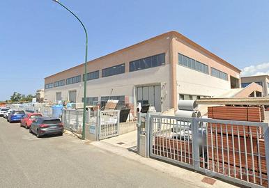 Capannone - Campiglia Marittima