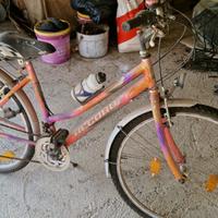 bicicletta da donna
