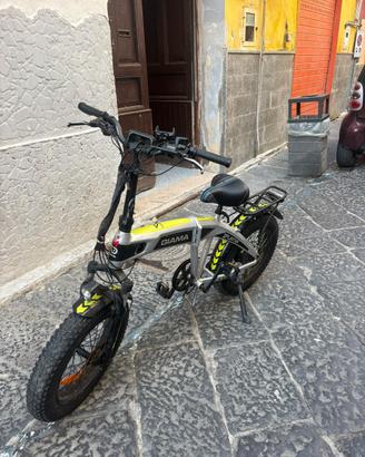 Bici elettrica