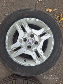 Cerchi panda