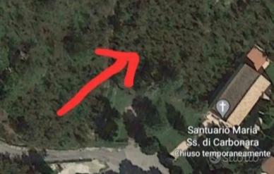 Terreno di nocelle di Giffoni Valle Piana