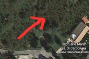 Terreno di nocelle di Giffoni Valle Piana