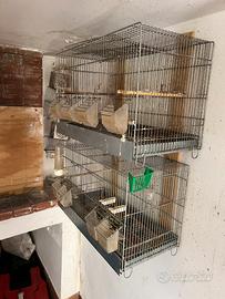 Voliera piu gabbie per uccelli