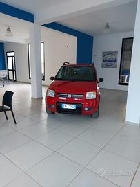 Fiat Panda 4x4 1.2 benzina