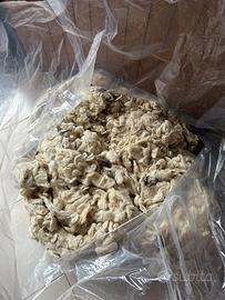 Lana di pecora grezza