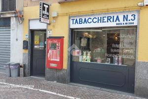 ATTIVITÀ A CASTANO PRIMO