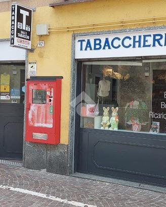 ATTIVITÀ A CASTANO PRIMO