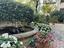 Immagine 12