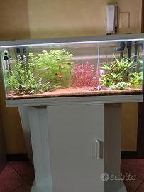 acquario 80 lt