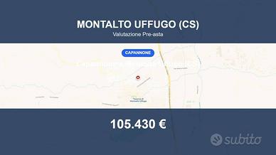 Immobile in asta di 400 m² a Montalto Uffugo