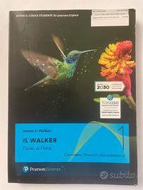 IL WALKER   Corso di Fisica
