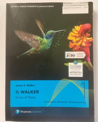 IL WALKER   Corso di Fisica