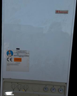 Caldaia Immergas Zeus 25 vip ricambi